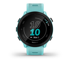Часы Garmin Forerunner 55 GPS, синий