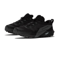 Кроссовки для бега Salomon Sense Ride 5 GORE-TEX Trail, черный