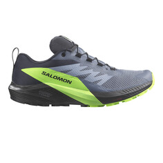 Кроссовки для бега Salomon Sense Ride 5 GORE-TEX Trail, серый