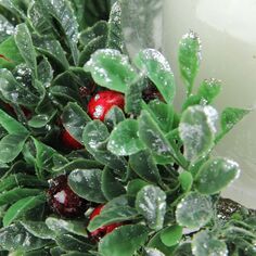 6-дюймовый прозрачный и зеленый самшит с ягодным кончиком подсвечника в виде рождественского столба-урагана Christmas Central