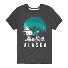Футболка с рисунком для кемпинга Peanuts Alaska для мальчиков 8–20 лет Licensed Character, серый