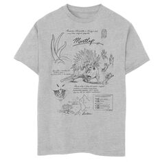 Футболка «Фантастический зверь» для мальчиков 8–20 лет — Гриндельвальд Муртлап, учебная тетрадь, футболка с эскизами Licensed Character