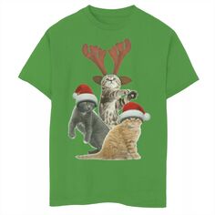 Футболка с рождественскими котятами для мальчиков 8–20 лет, шапка Санты, рога и фотореалистичная графика Licensed Character