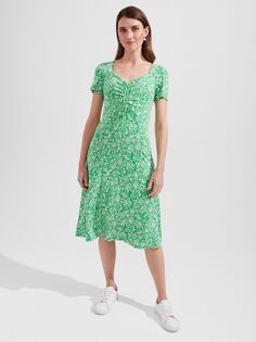 Hobbs Suzannah Платье из джерси с цветочным принтом, зеленое Hobb's