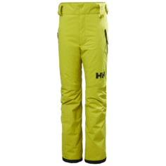 Брюки Helly Hansen Legendary