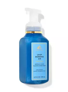 Нежное пенящееся мыло для рук Crisp Morning Air, 8.75 fl oz / 259 mL, Bath and Body Works