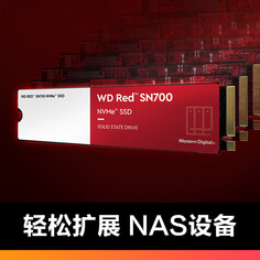 SSD-накопитель Western Digital Red SN700 1T