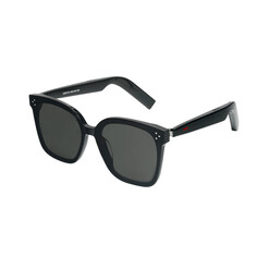 Солнцезащитные очки HUAWEI X GENTLE MONSTER Eyewear 2 HER-01, черный