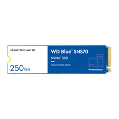 SSD-накопитель Western Digital Blue Disk SN570 250GB