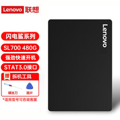 SSD-накопитель Lenovo SL700 Lightning Shark 480GB