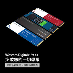 SSD-накопитель Western Digital Blue SN570 250GB