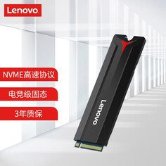 SSD-накопитель Lenovo SL700 Savior 512GB