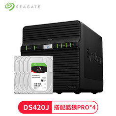 Сетевое хранилище Synology DS420J с 4 жесткими дисками Seagate IronWolf Pro ST10000NE0008 емкостью 10 ТБ
