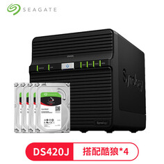 Сетевое хранилище Synology DS420J с 4 жесткими дисками Seagate IronWolf ST10000VN0008 емкостью 10 ТБ