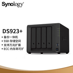 Сетевое хранилище Synology Group Hui DS923+ с 4 отсеками с 2 жесткими дисками Seagate IronWolf Pro емкостью 12 ТБ