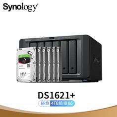 Сетевое хранилище Synology DS1621+ с 6 жесткими дисками Seagate IronWolf ST4000VN006 4 ТБ