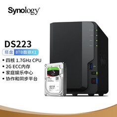 Сетевое хранилище Synology DS223 с 1 жестким диском Seagate IronWolf ST8000VN004 емкостью 8 ТБ