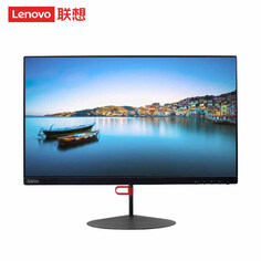 Монитор Lenovo ThinkVision X24I-2L 24&quot; IPS