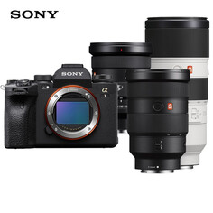 Беззеркальный фотоаппарат Sony Alpha 1