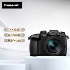 Цифровой фотоаппарат Panasonic GH5M2L 4K