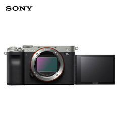 Цифровой фотоаппарат Sony Alpha 7C, серебристый