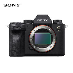 Цифровой фотоаппарат Sony Alpha 9 II (ILCE-9M2/A9M2）Single Body с картой памяти 512G