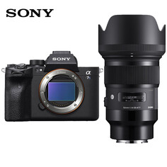 Цифровой фотоаппарат Sony Alpha 7S III A7S3 Art 50mm