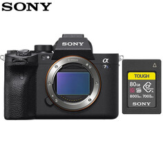 Фотоаппарат Sony Alpha 7SIII/A7S3 ILCE-7SM3 Single Body