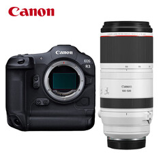 Фотоаппарат Canon EOS R3 RF 100-500mm с картой памяти 256G Cfe