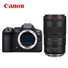 Фотоаппарат Canon EOS R6 Mark II RF 100mm с картой памяти 256G