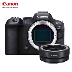 Фотоаппарат Canon EOS R6 Mark II Single Body + EF-переходник