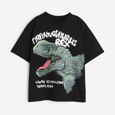 Футболка H&amp;M Kids Oversized Jersey Tyrannosaurus Rex, черный H&M