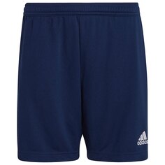 Шорты adidas Entrada 22 Training, синий