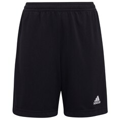 Шорты adidas Entrada 22 Training, черный