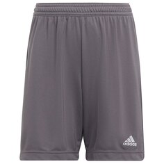 Шорты adidas Entrada 22, серый