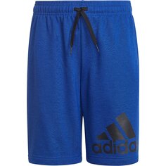 Спортивные шорты adidas Essentials, синий