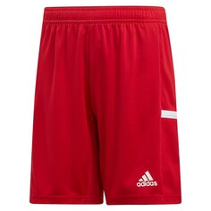 Шорты adidas Team 19 Knit, красный