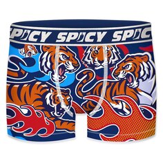 Боксеры Spicy T678-1, разноцветный