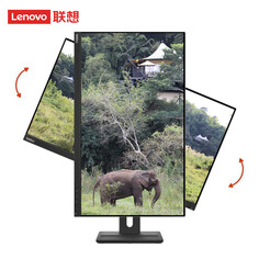 Монитор Lenovo ThinkVison T27qs-20 27&quot; IPS 2K