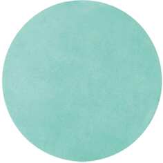 Шлифовальный диск БАЗ