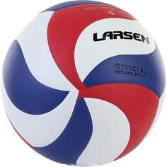 Волейбольный мяч Larsen