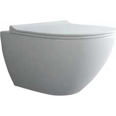 Подвесной унитаз Berges