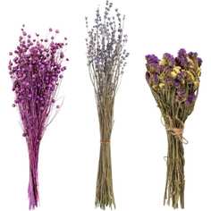 Набор из сухоцветов для составления букетов Стильный Дом