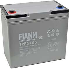 Аккумуляторная батарея FIAMM