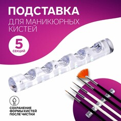 Подставка для маникюрных кистей, 5 секций, 8 × 1 см, цвет прозрачный Queen Fair