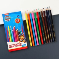 Карандаши 12 цветов, заточенные, шестигранные, картонная упаковка, европодвес, PAW Patrol