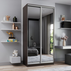 Шкаф-купе 2-дверный Рио Верде Лазурит