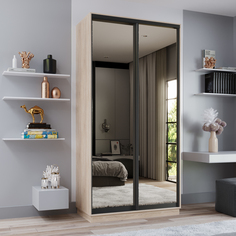 Шкаф-купе 2-дверный Рио Верде Лазурит