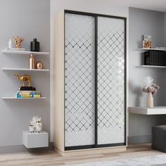 Шкаф-купе 2-дверный Рио Верде Лазурит