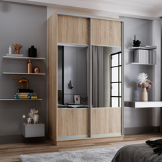 Шкаф-купе 2-дверный Рио Верде Лазурит